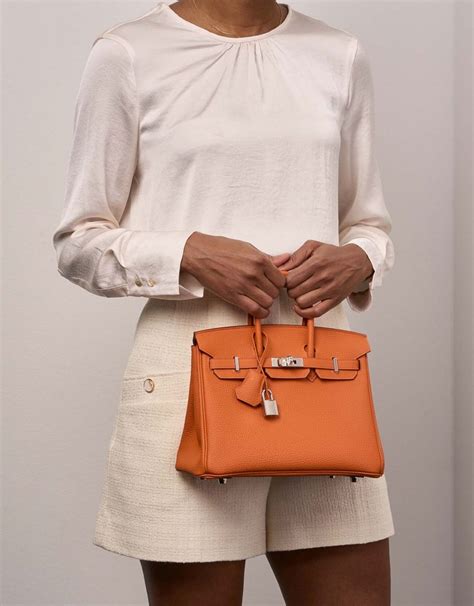 birkin 25 fashion.